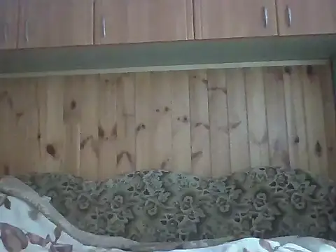 Maksymilian1 online show from February 17, 12:59 pm