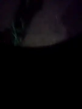 mkallu1995 online show from February 18, 5:21 pm