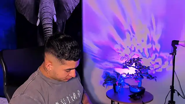 king falconer online show from November 10, 12:48 am