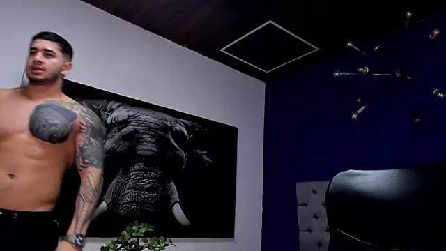 king falconer online show from December 20, 2:18 am