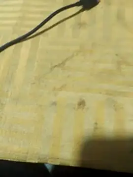 Pogga666 online show from November 14, 3:02 pm