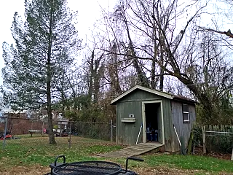 sloppytopkins online show from November 21, 3:33 pm