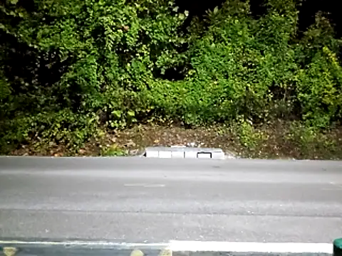 sloppytopkins online show from October 14, 8:54 am