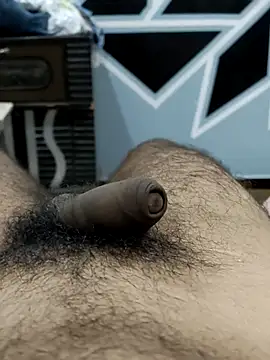 Bull54321 online show from September 10, 4:22 am