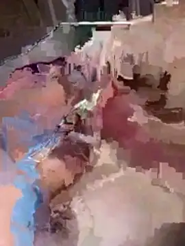 erick gonzalo online show from November 5, 3:14 pm