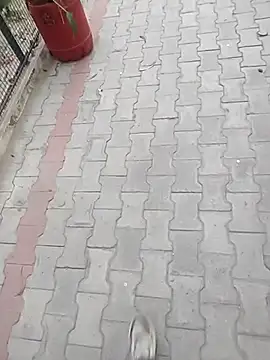 monty935 online show from December 4, 11:39 am