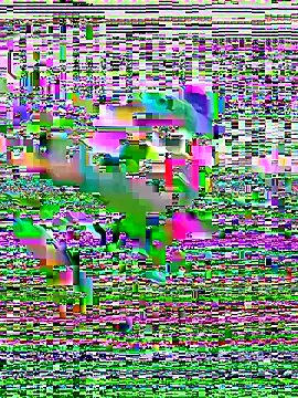 Eliehoot online show from October 10, 9:03 am