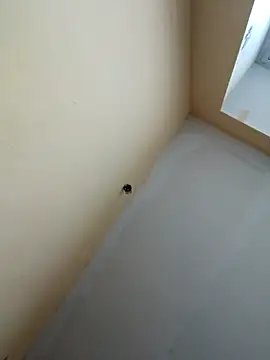 dream32222 online show from October 30, 12:39 pm