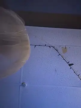 UrbanAnsaid online show from February 6, 12:02 pm