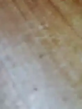 Markroco696 online show from November 21, 1:32 pm