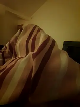 Elpatron bos online show from November 13, 4:55 pm