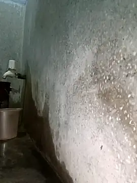 Mr xxx007xh online show from February 3, 11:26 am