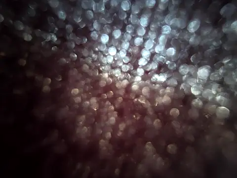 brokecountrylads online show from November 12, 7:47 am