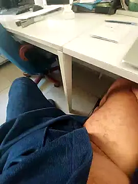 hpp66 online show from February 24, 10:16 am