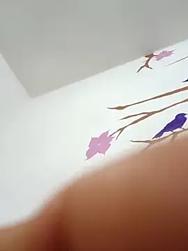 DavidVergagigante420 online show from December 5, 5:47 am