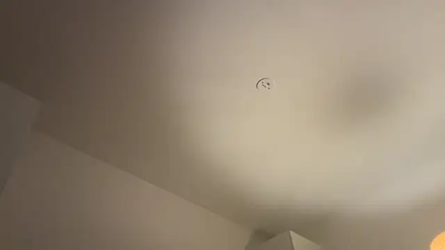 Swedishfish69 online show from February 8, 4:33 pm