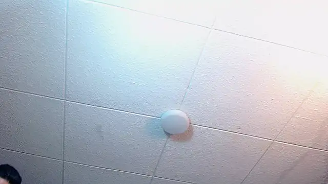 RichardMilleer online show from December 3, 2:01 pm