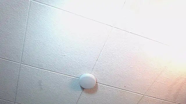 RichardMilleer online show from November 12, 2:34 pm