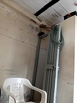 zamir adam online show from November 26, 2:20 pm