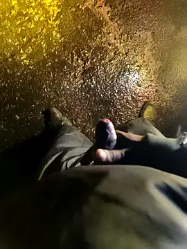 DICKLANKA online show from January 6, 6:01 pm