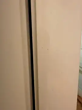 hhhajjib online show from November 17, 5:16 pm