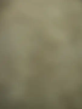 telugumodda4396 online show from December 17, 1:57 am