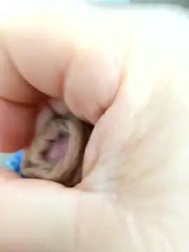 pisun1986 online show from March 13, 8:00 am