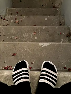 max22palm online show from November 6, 10:02 pm