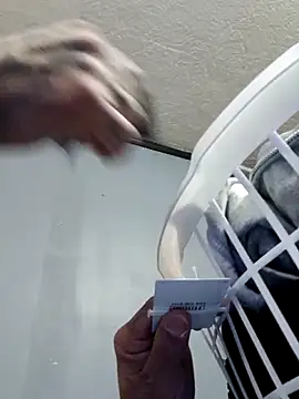 JNTre online show from March 23, 11:10 pm