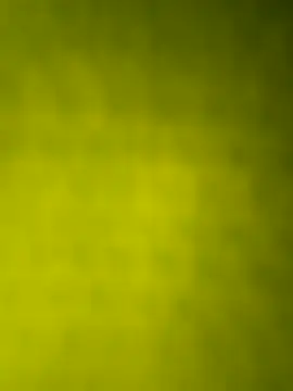 GingerLegend online show from October 19, 2:49 am