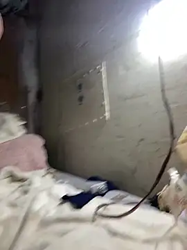 Nectarioteins online show from February 4, 5:24 am