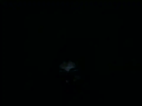 oraharoncohen online show from October 23, 8:01 pm