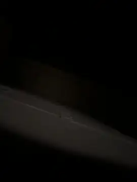 bart98geil online show from April 6, 3:14 am