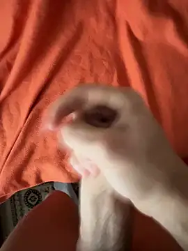 iCum uCum online show from February 6, 7:49 am