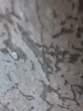 3zekie1 online show from October 28, 2:19 pm