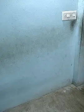 cutty abi  online show from November 25, 3:30 am