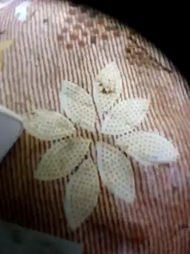 pino870 online show from April 16, 11:18 pm