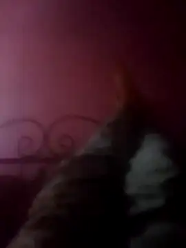 Narwindruners online show from November 3, 6:53 pm