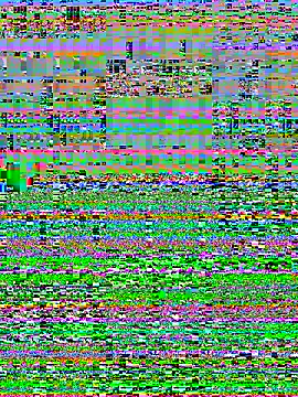 goodguybigD69 online show from November 16, 8:38 am