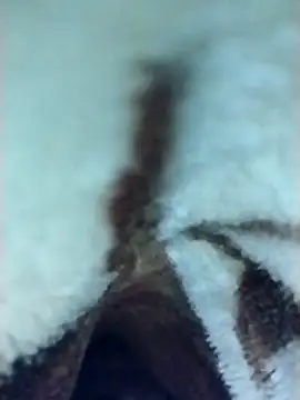 Harry254238 online show from January 6, 5:50 pm