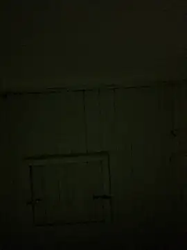 reckless 34 online show from February 7, 11:43 pm