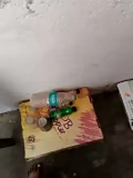 hardi9048 online show from January 16, 10:07 am