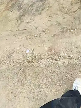 kripaul online show from January 17, 6:27 am