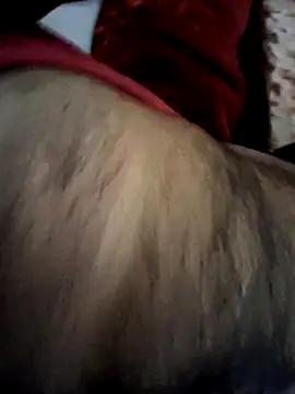 aman4404 online show from February 20, 9:00 am