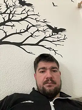 LienalWarplane online show from February 15, 1:41 pm