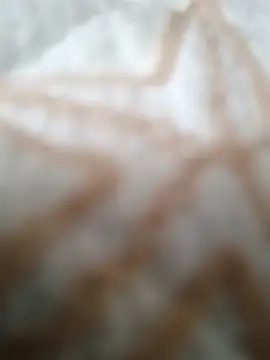 RecuerdameGansito online show from March 6, 1:41 pm