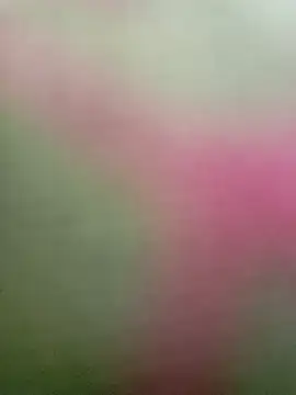 Dariralf online show from January 16, 12:41 pm