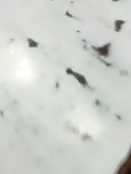 ravi18122 online show from April 1, 11:23 am