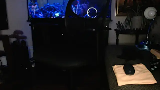 EspanolVato online show from March 13, 10:45 am