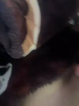 chicpoll online show from January 18, 5:15 pm